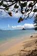 paradise beach framed by a tree paradise beach framed by a tree