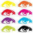 Illustration: eyes eyes