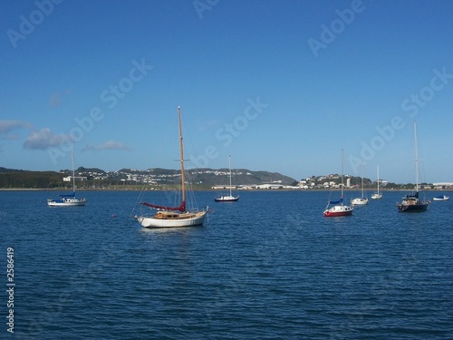 bateaux dans la baie de wellington