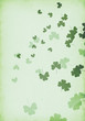 shamrock shadows