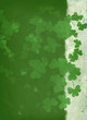 shamrock marginalized