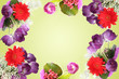 easter tulips background