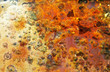 Photo: mouldy rust mouldy rust