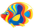 coral fish