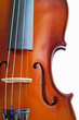 musical instruments: violin closeup showing the br