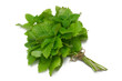 lemon balm