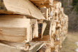 holz holz