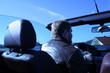 cabrio cabrio