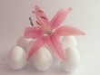 easter eggs with lily
