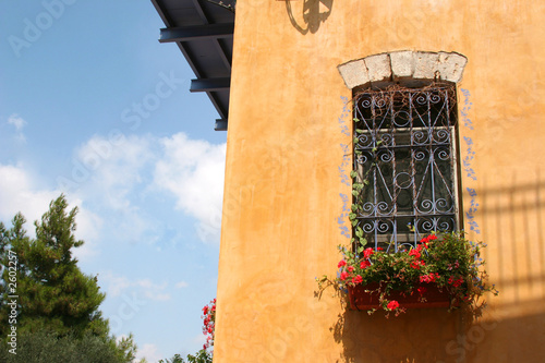 Foto: flowers at a window flowers at a window