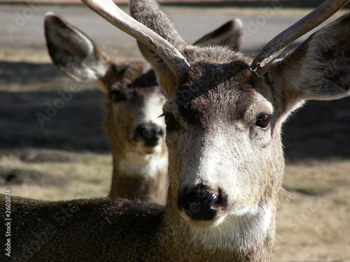 Photo: boy and girl boy and girl