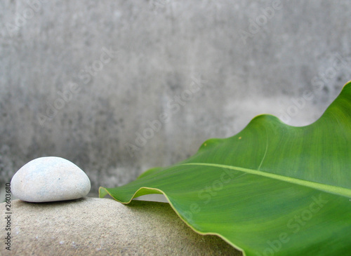 zen still life - natural spa