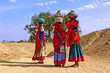 india, jaisalmer: women in the desert india, jaisalmer: women in the desert