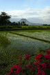 pampanga