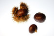 img_3069marrons