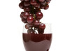 red grapes and wine in the glass red grapes and wine in the glass