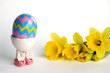 easter egg in cup with daffodil