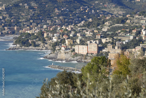 camogli landscape