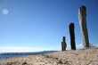 totem