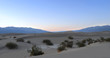 the sand dunes with brush in death valley california at sunset