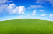 Photo: prairie arrondie au printemps prairie arrondie au printemps