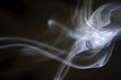 puff of aroma smoke on a dark background puff of aroma smoke on a dark background