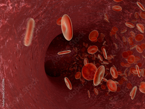 blood in a artery