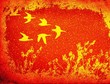 birds flying