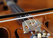 violin and bow