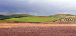 fields and orchards