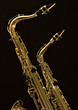 alto and tenor sax 2