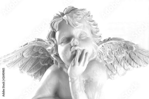engel