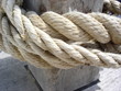 cordage