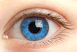 human eye. macro shooting...