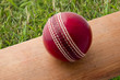cricket bat and ball cricket bat and ball