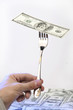 dollar as meal on a plug isolated