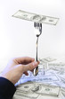 dollar as meal on a plug isolated