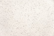 stone texture with small disseminations