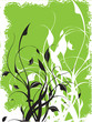 floral background floral background