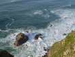 mar