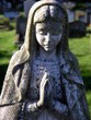 cemetery 5 cemetery 5