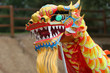 dancing dragon