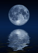 moon rising moon rising