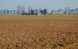 living in the country