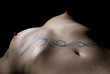 busen und tattoo