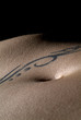 detail eines tattoo