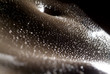 detail eines tattoo