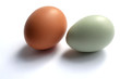 two eggs two eggs