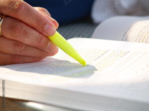 Photo: summer studying summer studying