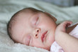 Foto: tiny baby asleep tiny baby asleep